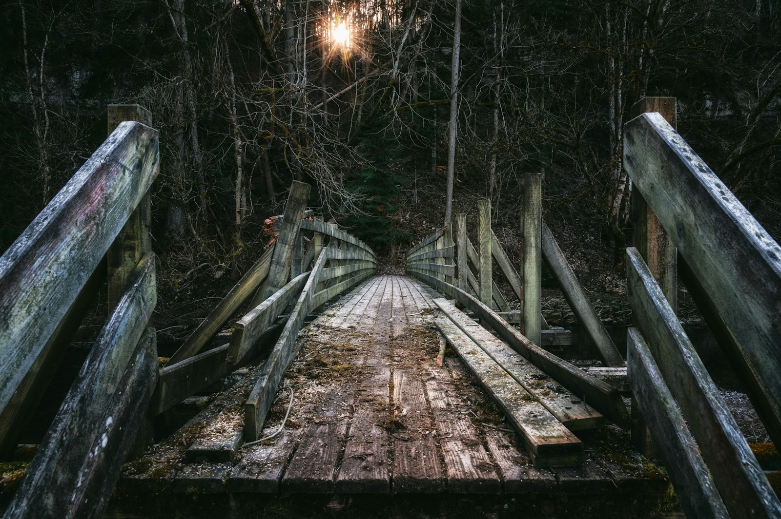 Ponte di legno che attraversa un bosco, in una giornata di luce